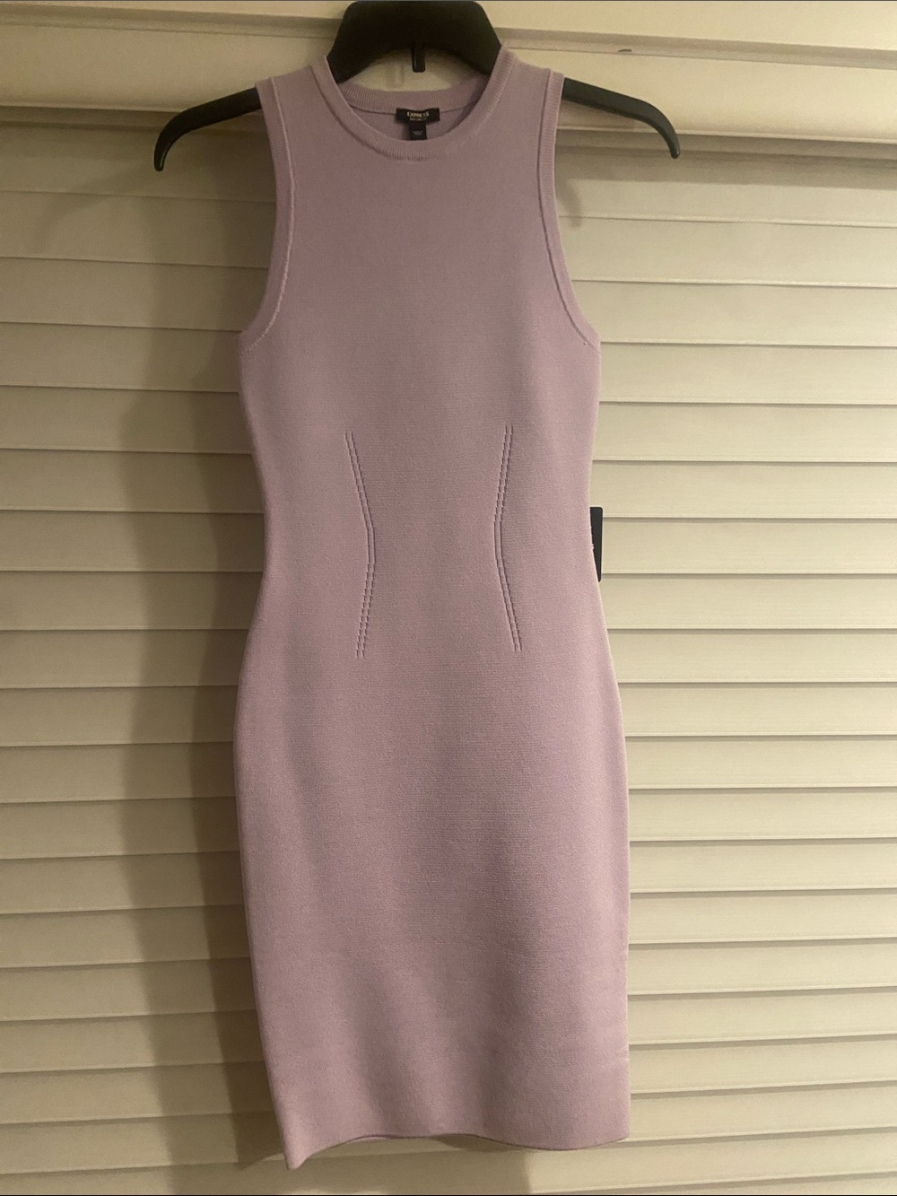 Express Sleeveless Lavender Bodycon Dress
